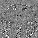 فقط فاز
