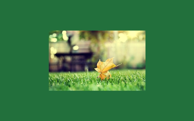 کاهش اندازهٔ تصویر به نصف و نشان دادن آن در مرکز